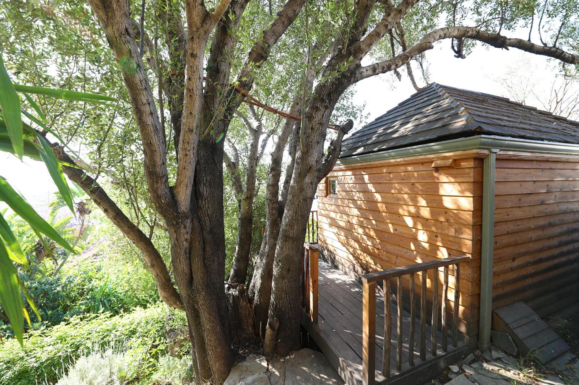 탕헤르 Mimi Calpe B&B 객실 사진